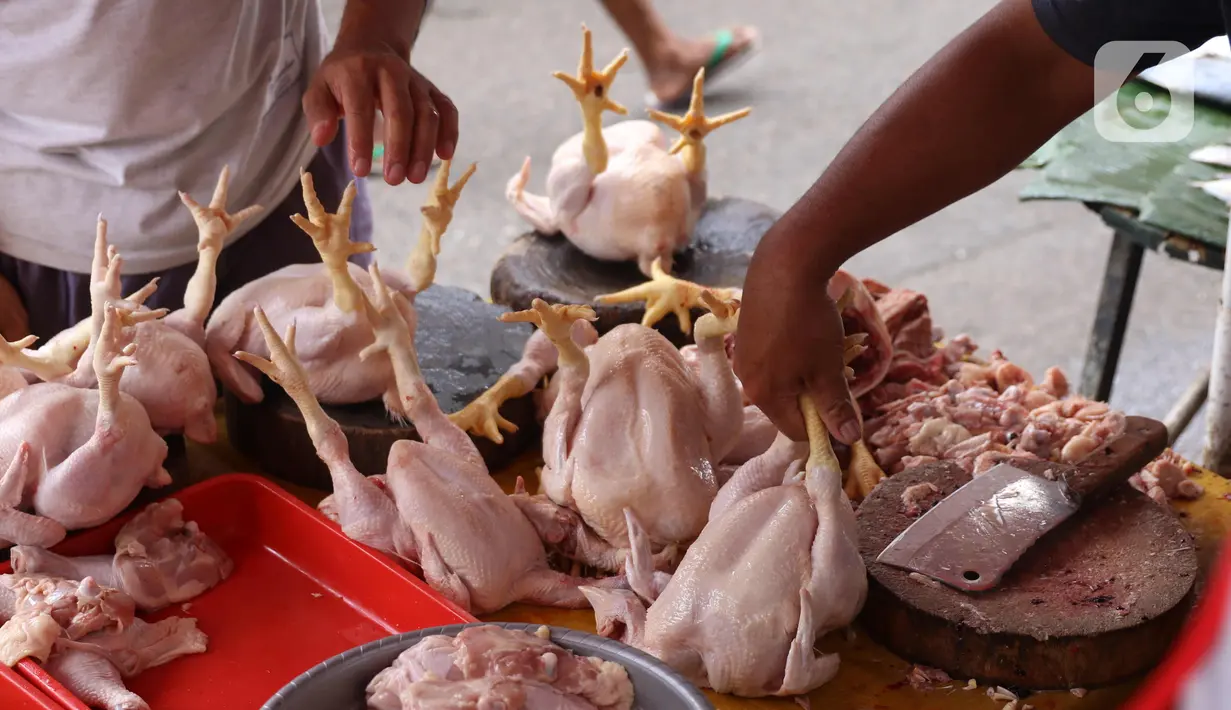 Pedagang menata ayam potong yang dijual di Pasar Kebayoran Lama, Jakarta, Rabu (14/4/2021). Memasuki bulan Ramadan, harga daging ayam alami kenaikan dari Rp 39 ribu menjadi Rp 45 ribu per kilogram. (Liputan6.com/Angga Yuniar)