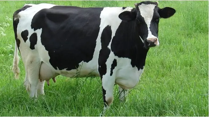 Foto: copyright bbc.co.uk