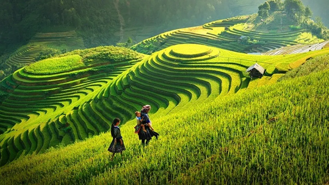 [Bintang] Vietnam