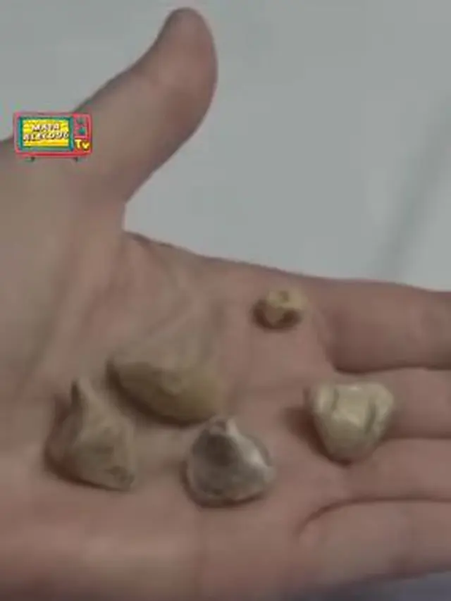 Maia Estianty (Instagram/maiaestiantyreal)