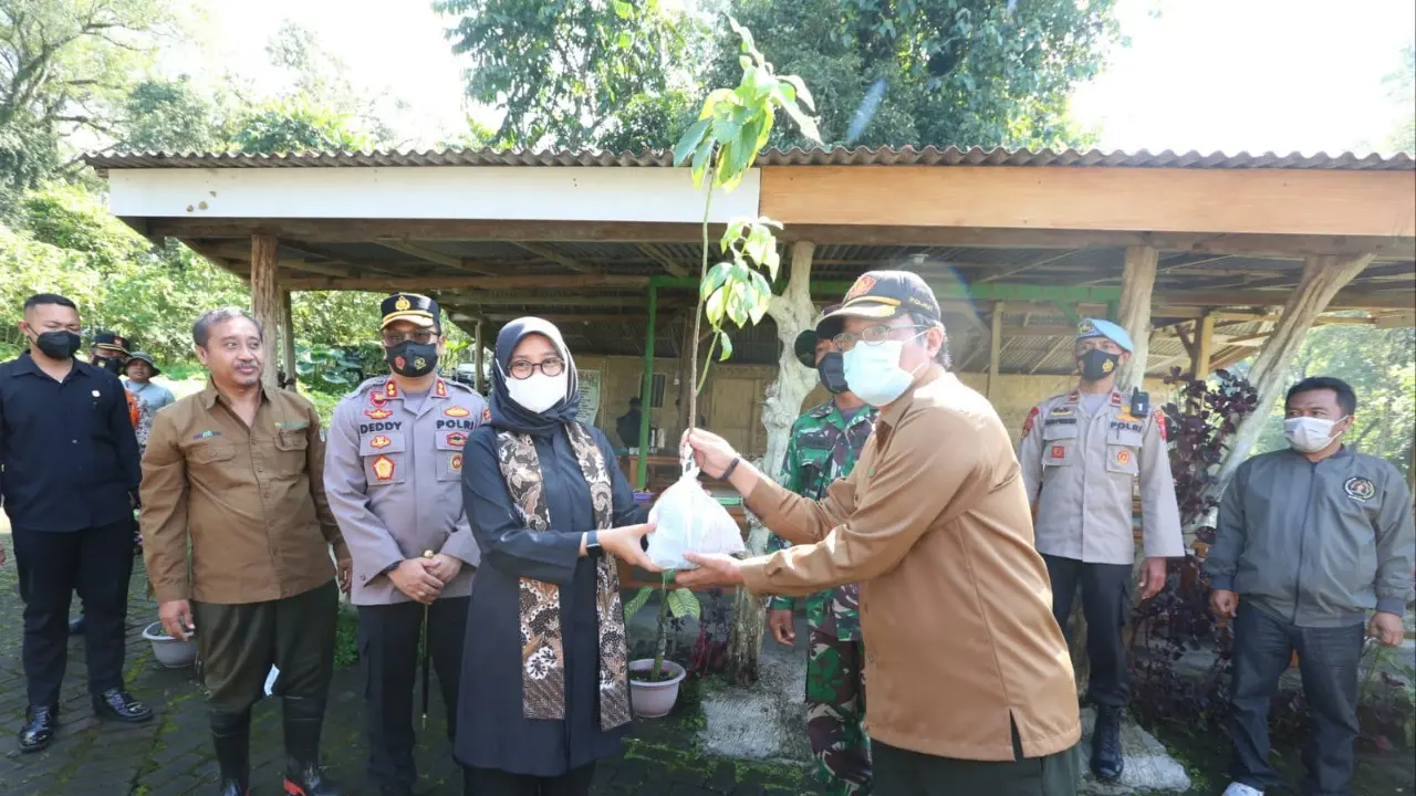 Penanaman Pohon.