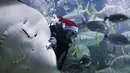 Penyelam berpakaian Santa Claus menyelam bersama ikan pari  didalam akuarium. Kuala Lumpur, Malaysia, Senin (7/12). Kegiatan ini sebagai salah satu kegiatan untuk menjelang hari Natal. (REUTERS/Olivia Harris)