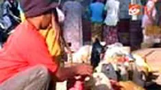 Keluhan atas konversi minyak tanah ke gas terus berdatangan dari masyarakat. Di Bangkalan, Madura, warga yang takut menggunakan elpiji kembali menggunakan minyak tanah. 