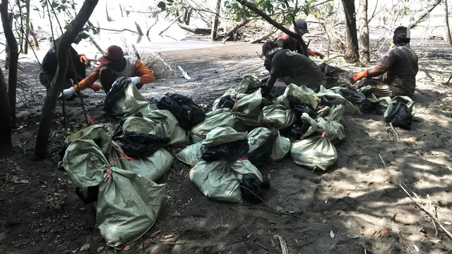 Antusiasme Nelayan Muara Gembong Kumpulkan Tumpahan Minyak Pertamina