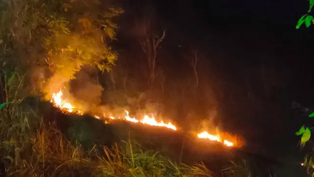 Kebakaran lahan ilalang di Aceh (Ist)