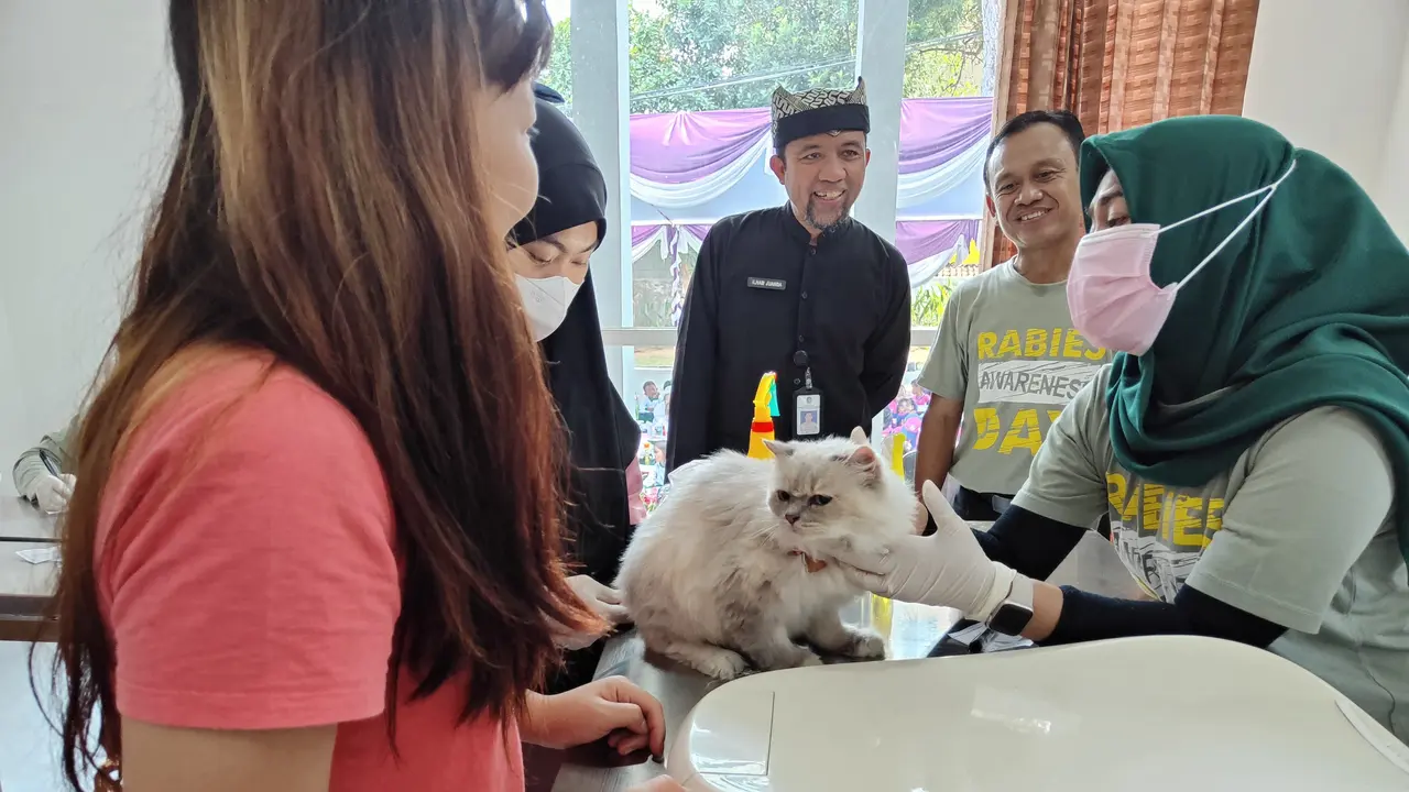 Vaksinasi anti rabies dilakukan terhadap ratusan kucing di Banyuwangi untuk cegah penyeberan rabies (Istimewa)