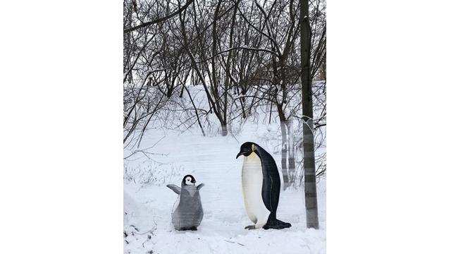 Pria Ini Buat Lukisan Hewan di Atas Plastik, 7 Hasilnya Mengagumkan