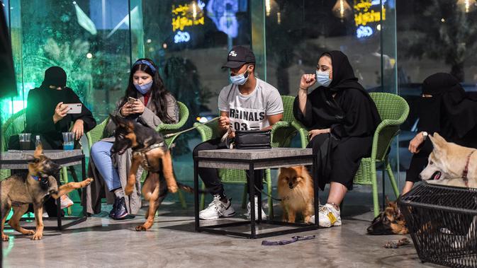 Anjing herder bermain saat pemiliknya duduk di kafe 