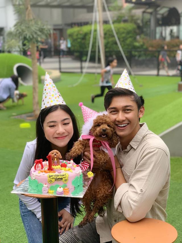 Bak Keluarga, Ini 6 Potret Caesar Hito dan Felicya Angelista Bersama Anjing Kesayangannya