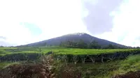 Panorama di bawah Gunung Dempo di Kota Pagar Alam Sumsel (Liputan6.com / Nefri Inge)