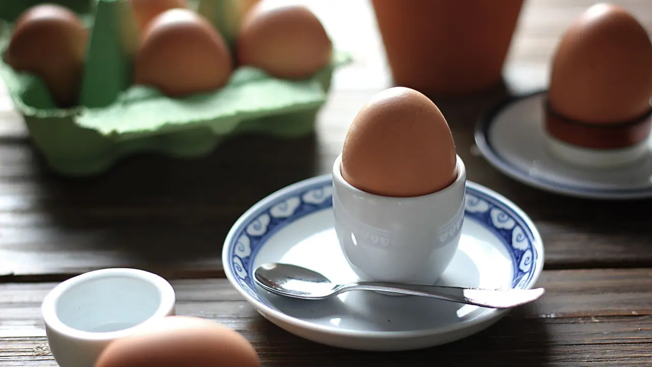Telur