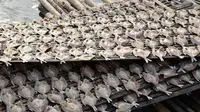 Produksi ikan asin di kabupaten agam mengalami penurunan. (Liputan6.com/ Dok. Humas agam)