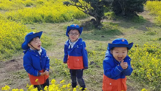 Daehan, Minguk, dan Manse