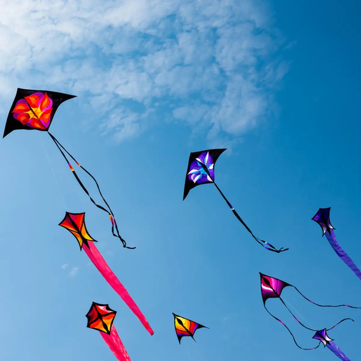 7 Arti Mimpi Layangan Putus Yang Sering Dikaitkan Dengan Keretakan Rumah  Tangga - Lifestyle Fimela.com