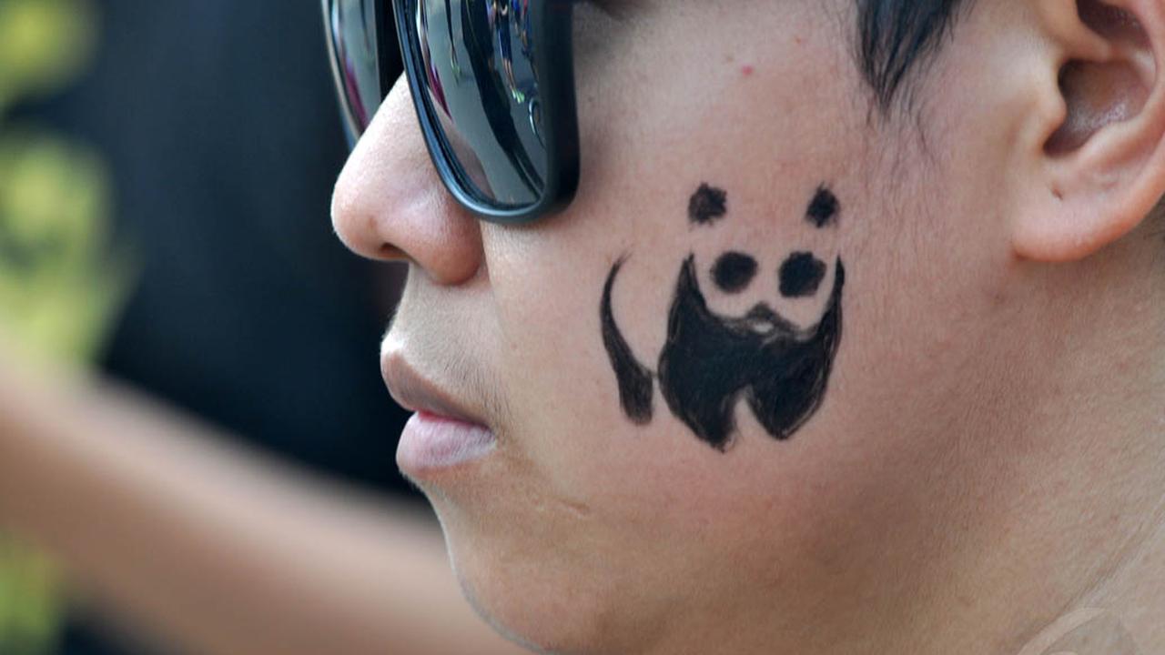 Karnaval Untuk Bumi, Massa Lukis Aneka Satwa di Wajah