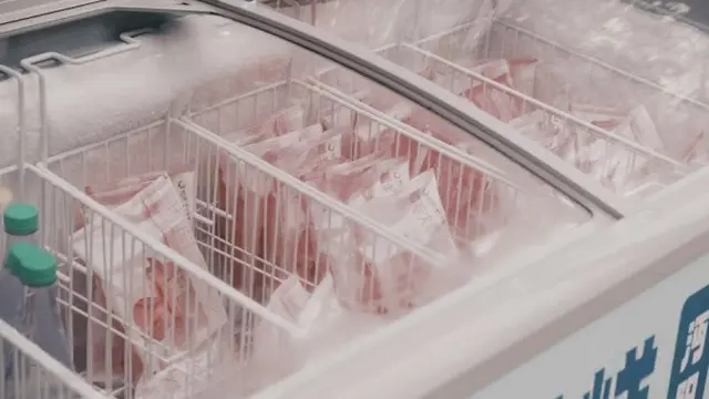 Ilustrasi Freezer/Photo by Will Xiang on Unsplash