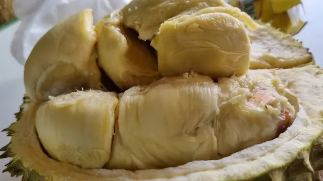 Rekomendasi Tempat Makan Durian di Jakarta