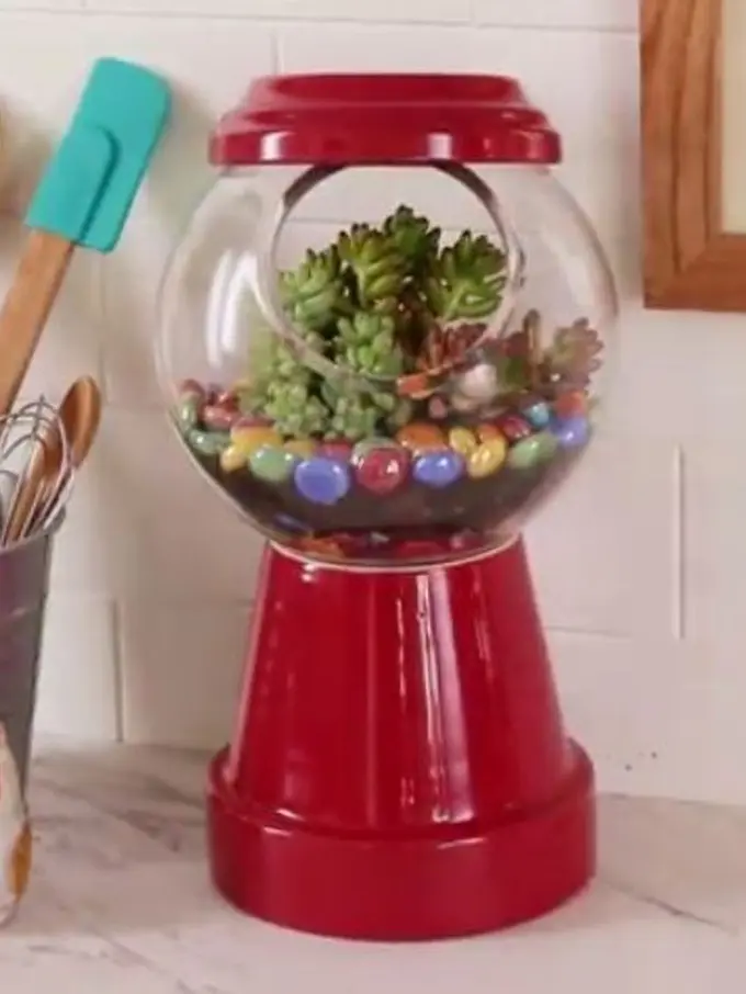 Pot Tanaman Unik, Bikin Tampilan Kamarmu Ciamik