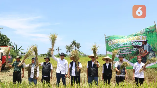 Panen raya padi, Bulog bersama Mitra Tani di Banyuwangi (Hermawan Arifianto/Liputan6.com)