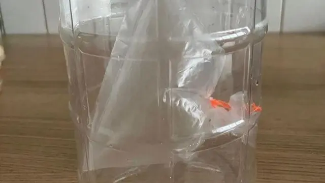 Wow, Kantong Plastik Berisi Napas Billie Eilish Dijual Penggemar Seharga Rp159 Juta