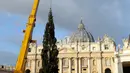 Pekerja menggunakan alat berat untuk mendirikan pohon Natal raksasa di Lapangan Santo Petrus, Vatikan, Kamis (22/11). Pohon cemara yang didatangkan dari Hutan Consiglio di Italia ini tingginya mencapai 23 meter. (AP/Andrew Medichini)