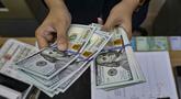 Seorang menghitung uang kertas Dolar AS di salah satu kantor penukaran uang, Jakarta, Selasa 12 Mei 2026. Nilai tukar rupiah terhadap dolar Amerika Serikat (USD) terpuruk pada perdagangan Selasa (12/5/2026). (BAY ISMOYO/AFP)