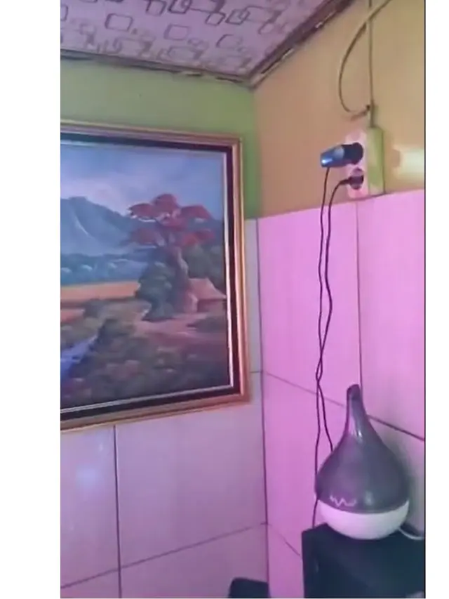 Viral Penampakan WC Berkonsep Diskotik, Dipasangi Kipas hingga Ada Sound System