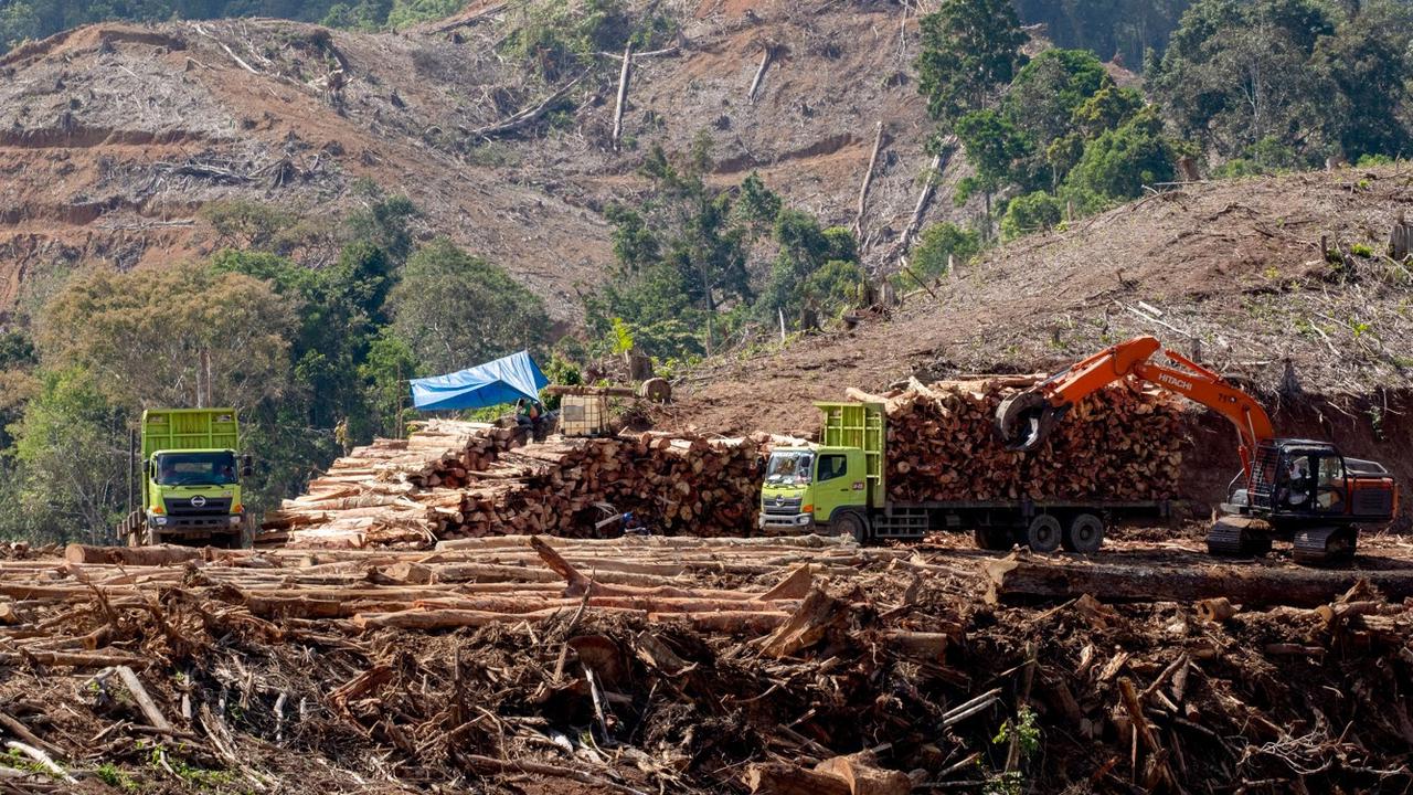 Indonesia Pastikan Produksi Wood Pellet Sesuai Komitmen Pengelolaan Hutan Lestari