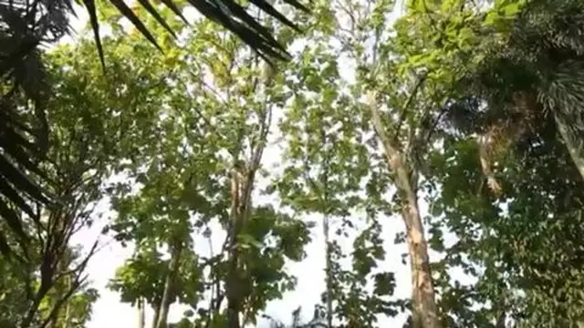 Rumah Indra Herlambang