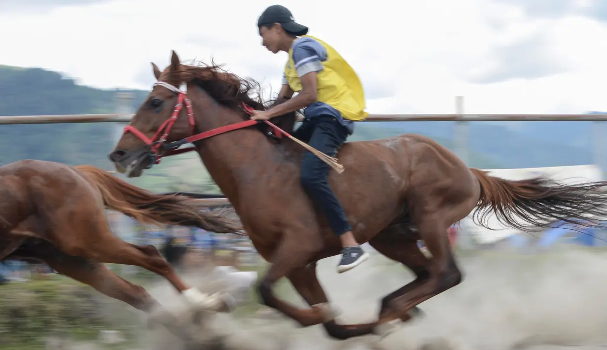 Seorang joki memacu kudanya pada lomba pacuan kuda tradisional di Takengon, Aceh, 10 Maret 2018. Budaya yang telah diwariskan turun temurun sejak zaman kolonial Belanda untuk merayakan musim panen tahunan. (AFP PHOTO/CHAIDEER MAHYUDDIN)
