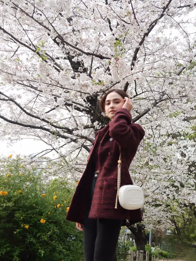 Adu Gaya Syifa Hadju, Ariel Tatum, dan Yura Yunita Saat Nikmati Sakura: Inspirasi Tampilan Elegan Musim Semi