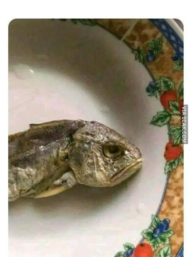 6 Potret Kepala Ikan Nyeleneh Ini Kaget Sebelum Dimakan