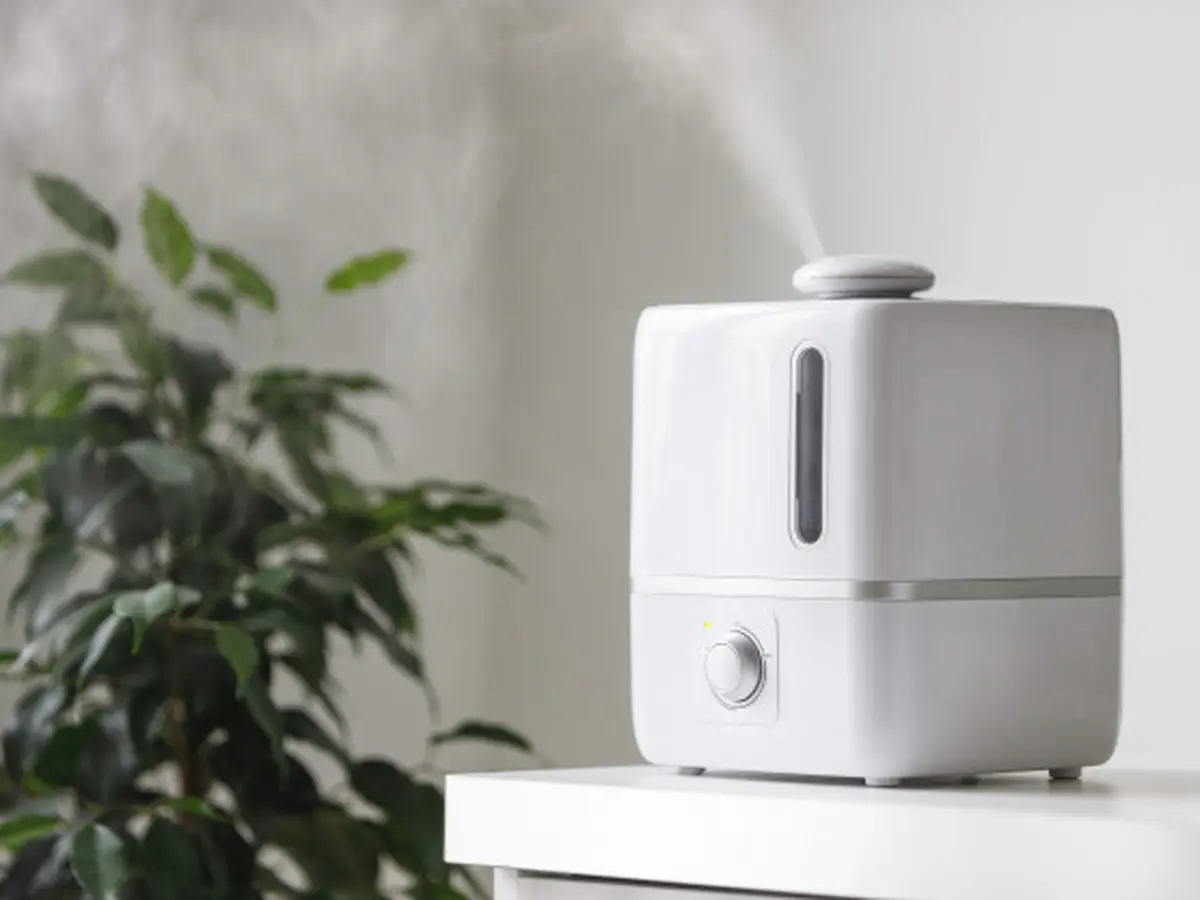 Apa hot sale itu humidifier