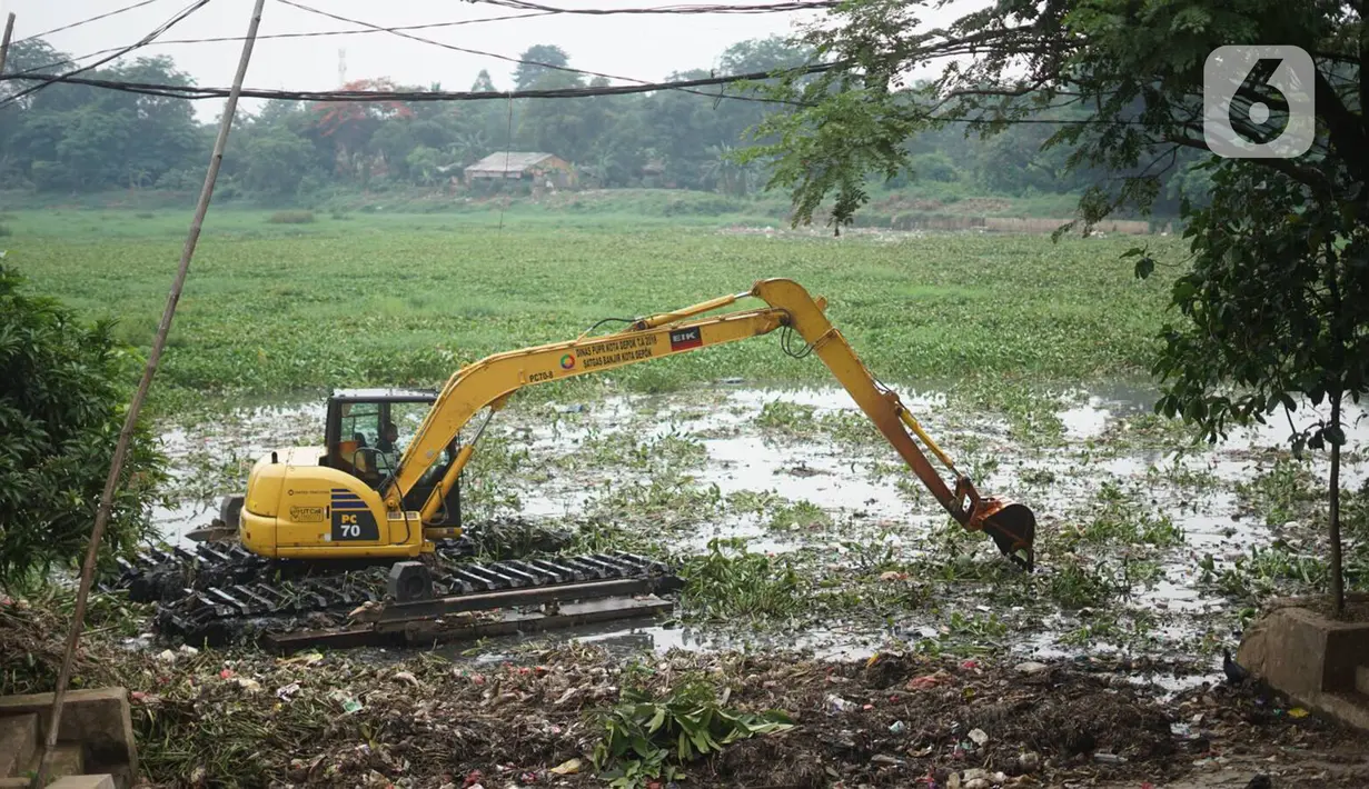 Petugas menggunakan alat berat untuk mengeruk eceng gondok yang memenuhi permukaan Setu Pengarengan, Depok, Jawa Barat, Senin (16/12/2019). Pengerukan dilakukan untuk membersihkan Setu Pengarengan dari eceng gondok yang tumbuh selama kurang lebih satu tahun terakhir. (Liputan6.com/Immanuel Antonius)