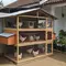 7 Model Kandang Ayam Bertingkat untuk Menghemat Tempat, Cocok di Lahan Sempit