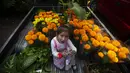 Seorang gadis duduk dalam bak truk pikap penuh bunga marigold di Xochimilco, Mexico City, Meksiko, Rabu (14/10/2020). Panen bunga marigold Meksiko yang dikenal sebagai Cempasuchil dalam bahasa Nahuatl dilakukan jauh-jauh hari sebelum hari libur Day of the Dead. (AP Photo/Marco Ugarte)