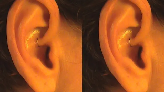 (c) livingfreeforever.wordpress.com