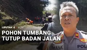 Pohon Tumbang Tutup Badan Jalan