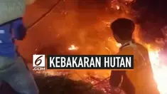 Lereng gunung Slamet mengalami kebakaran, kebakaran meluas hingga ke kabupaten Brebes, Purbalingga dan Banyumas. BPBD menyebut luas area yang terbakar mencapai 10 hektar.