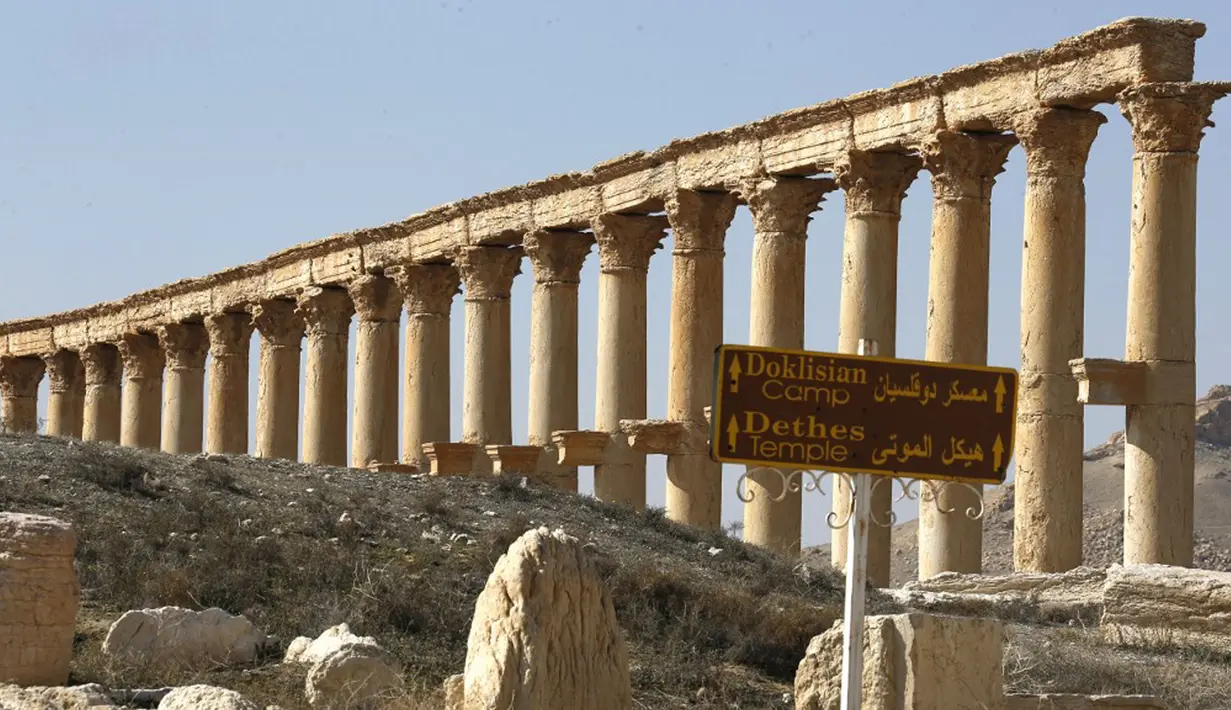 Pemandangan reruntuhan kota kuno Palmyra di Provinsi Homs, Suriah, 7 Februari 2021. Selain Palmyra dan Aleppo, kota kuno Damaskus dan Bosra juga mengalami kerusakan. (LOUAI BESHARA/AFP)