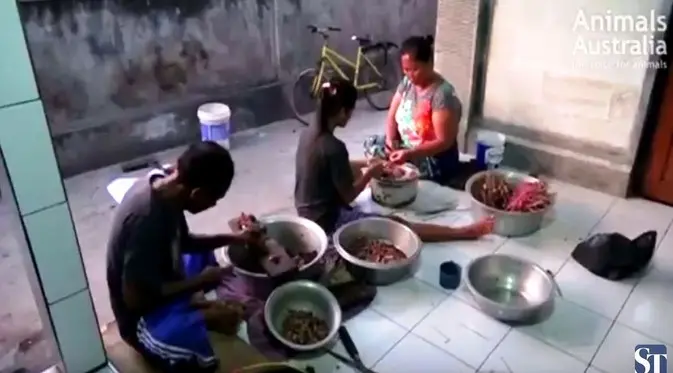 Laporan soal anjing di Bali dibantai untuk dijadikan sate dibantah pemerintah setempat. (Foto: printscreen Straits Times)