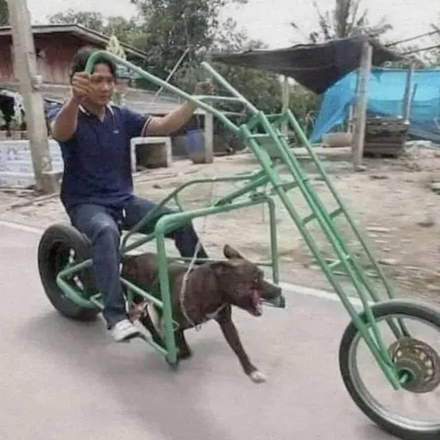 10 Potret Nyeleneh Orang Jalan-Jalan Bareng Peliharaan, Ada Anjing Masuk Tas