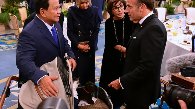 Presiden Prancis Emmanuel Macron dan istrinya, Brigitte Macron bertemu dengan kucing kesayangan Presiden Prabowo Subianto, Bobby Kertanegara.