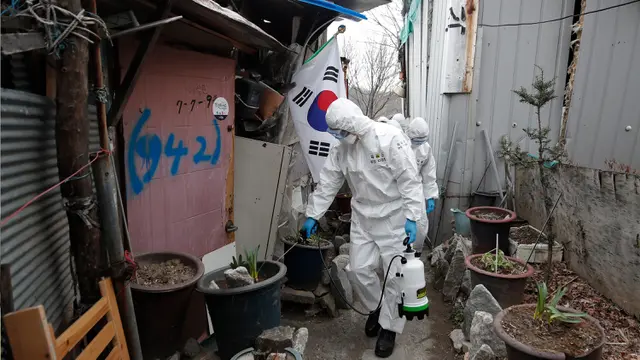 Perjuangan Petugas Medis Korea Selatan Perangi Virus Corona