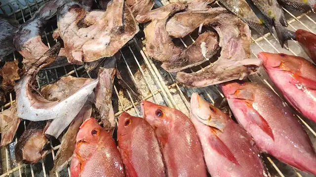 Ilustrasi Ikan