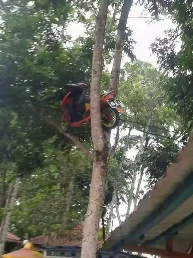 10 Potret Absurd Benda Nyangkut di Kabel Listrik, Ada Jemuran Hingga Mobil