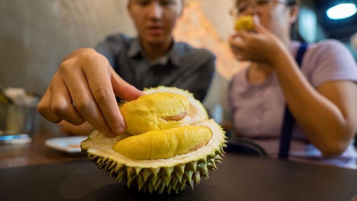 Efek Samping Mengonsumsi Durian Berlebihan, Penting Diketahui