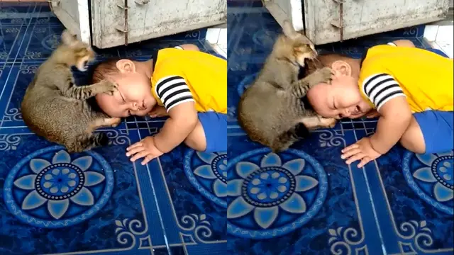 Viral, Video Bocah Menangis Histeris Diserang Kucing Saat Bermain