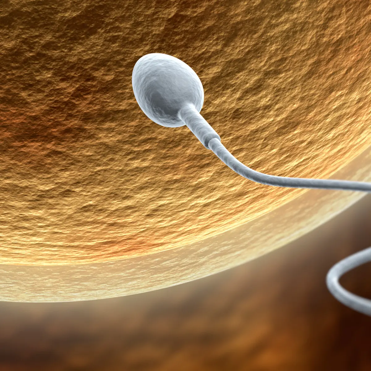 Ngentot Tante Ngajari 2 Anaknya Ngentot Masih Sd - Terlalu Royal Membuang Sperma, Awas Kena Spermatorrhea - Health Liputan6.com