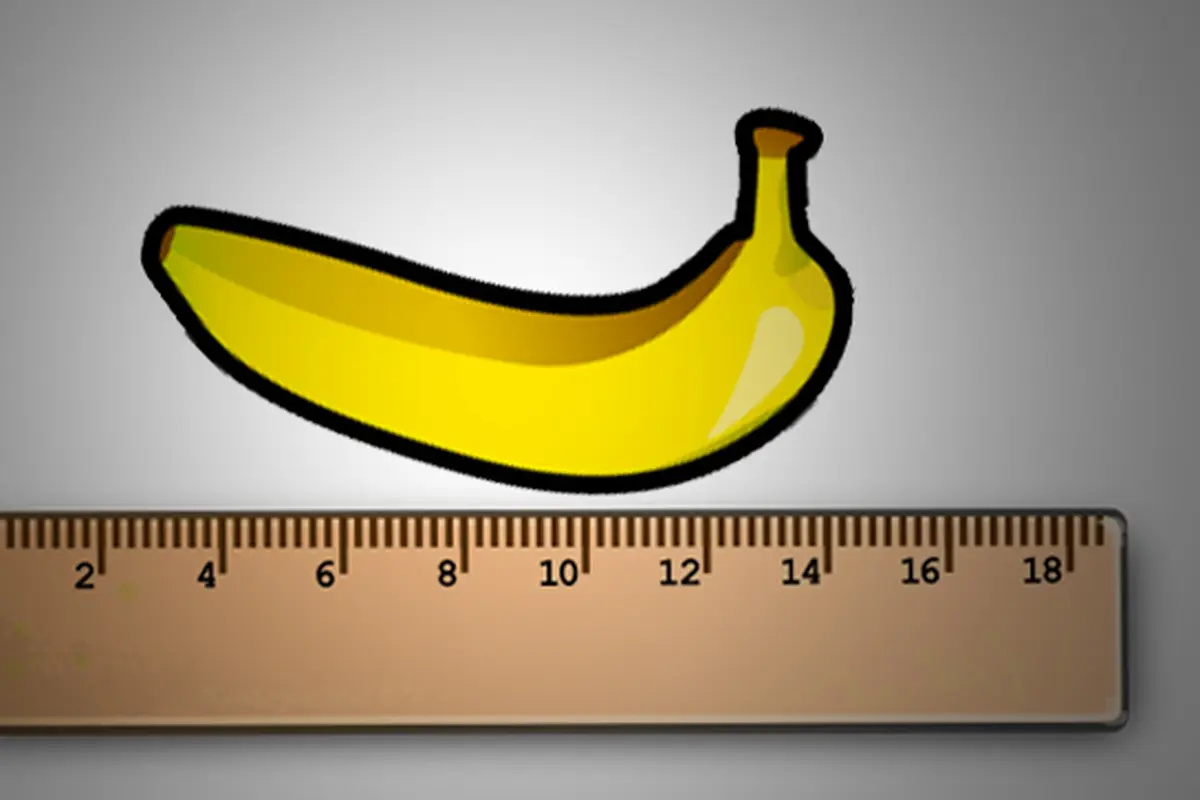Ilustrasi Penis